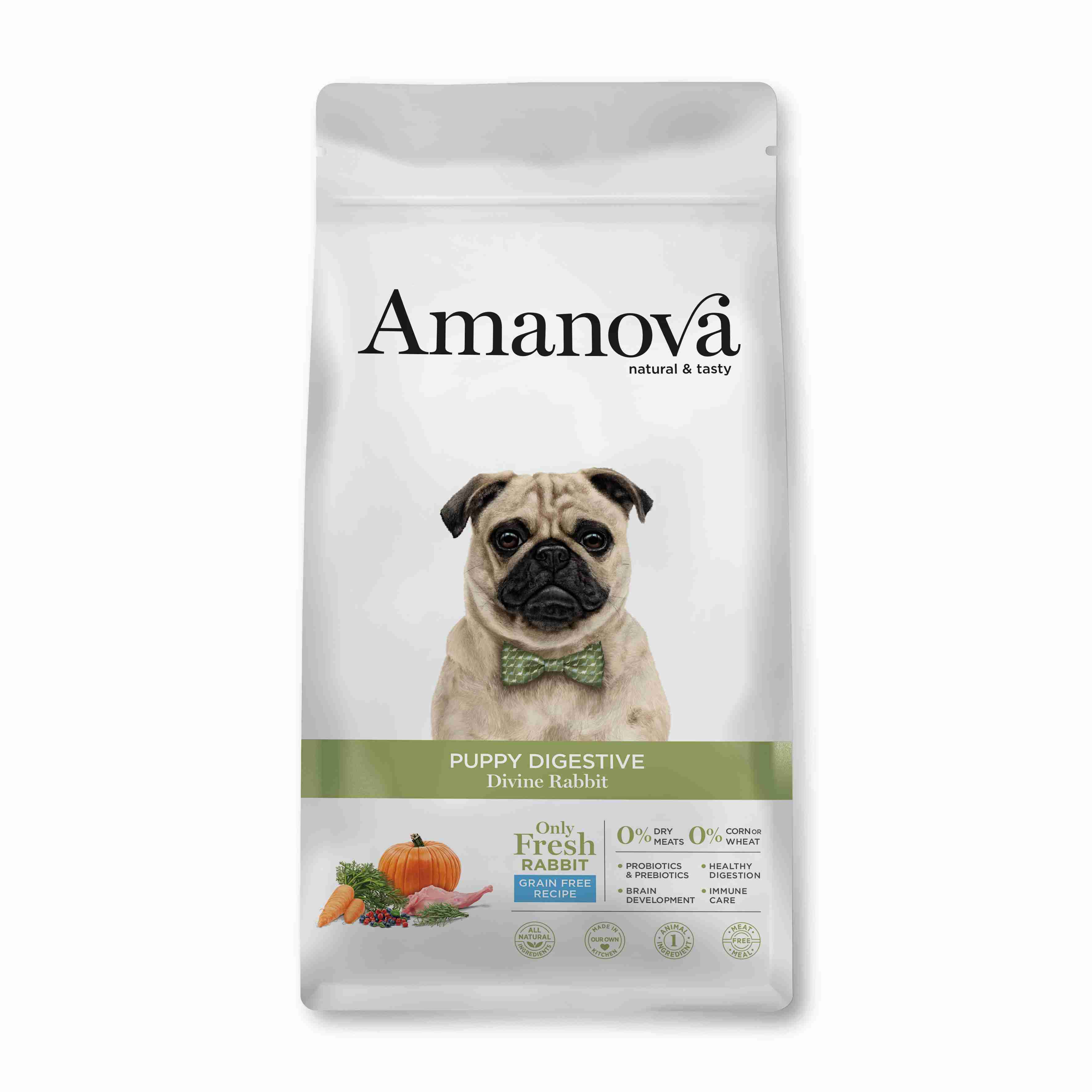 Best Pet Groomer